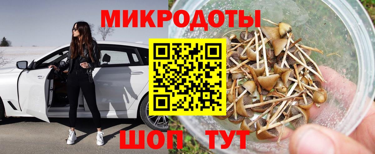 Галлюциногенные грибы Psilocybe Ковров