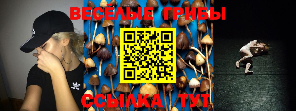 Псилоцибиновые грибы MAGIC MUSHROOMS  Вход с VPN  продажа наркотиков  Ковров  Псилоцибиновые грибы Cubensis 